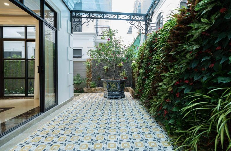 Tường xanh được trồng từ thực vật ít cần chăm sóc nhiều thích hợp với gia chủ bận rộn